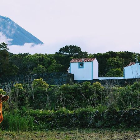 Casa Do Paim Villa São Roque do Pico Esterno foto