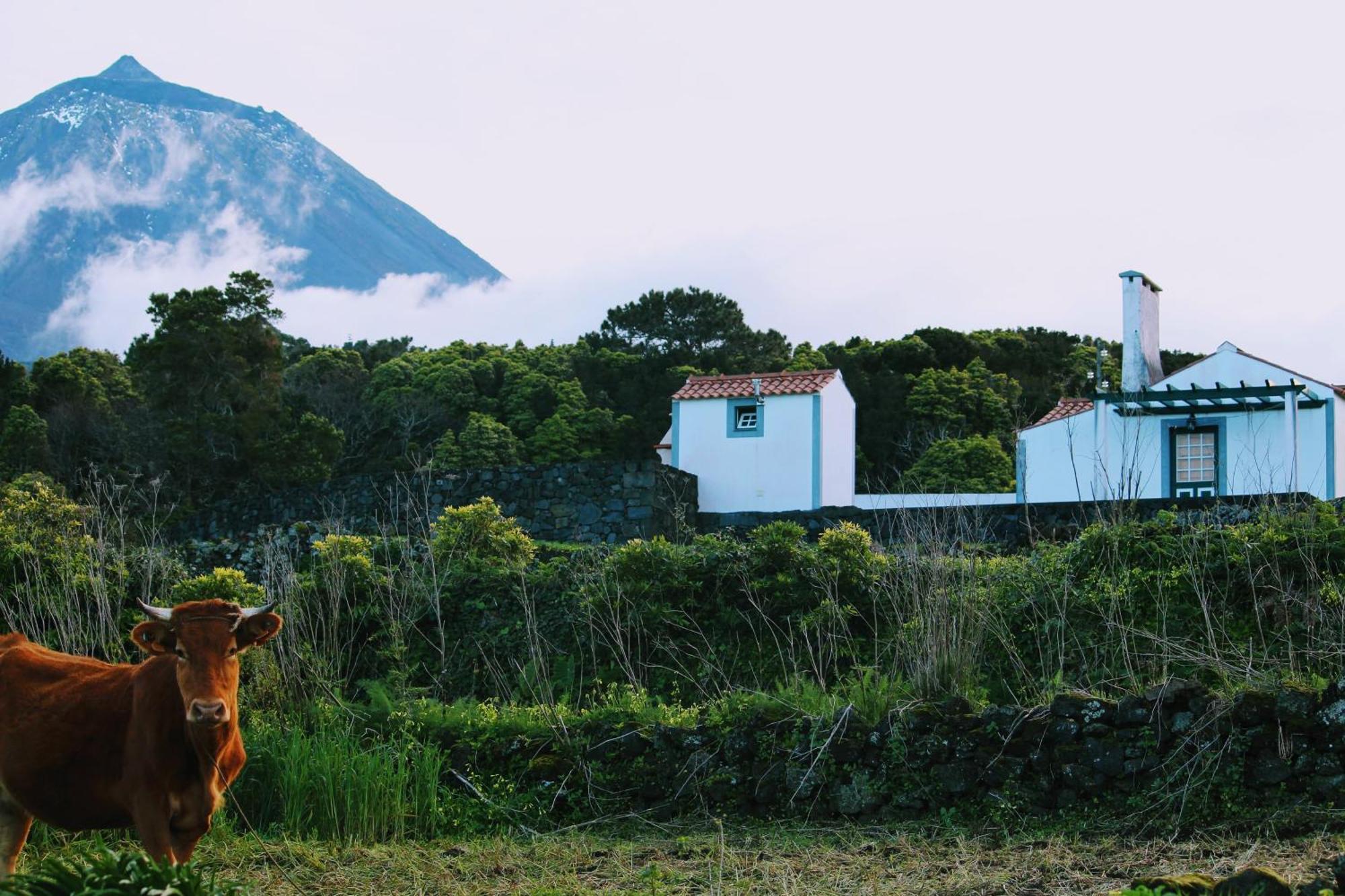 Casa Do Paim Villa São Roque do Pico Esterno foto