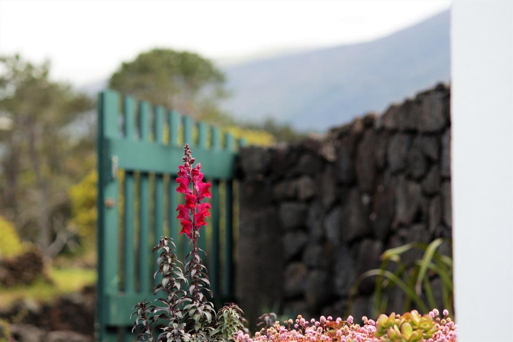 Casa Do Paim Villa São Roque do Pico Esterno foto