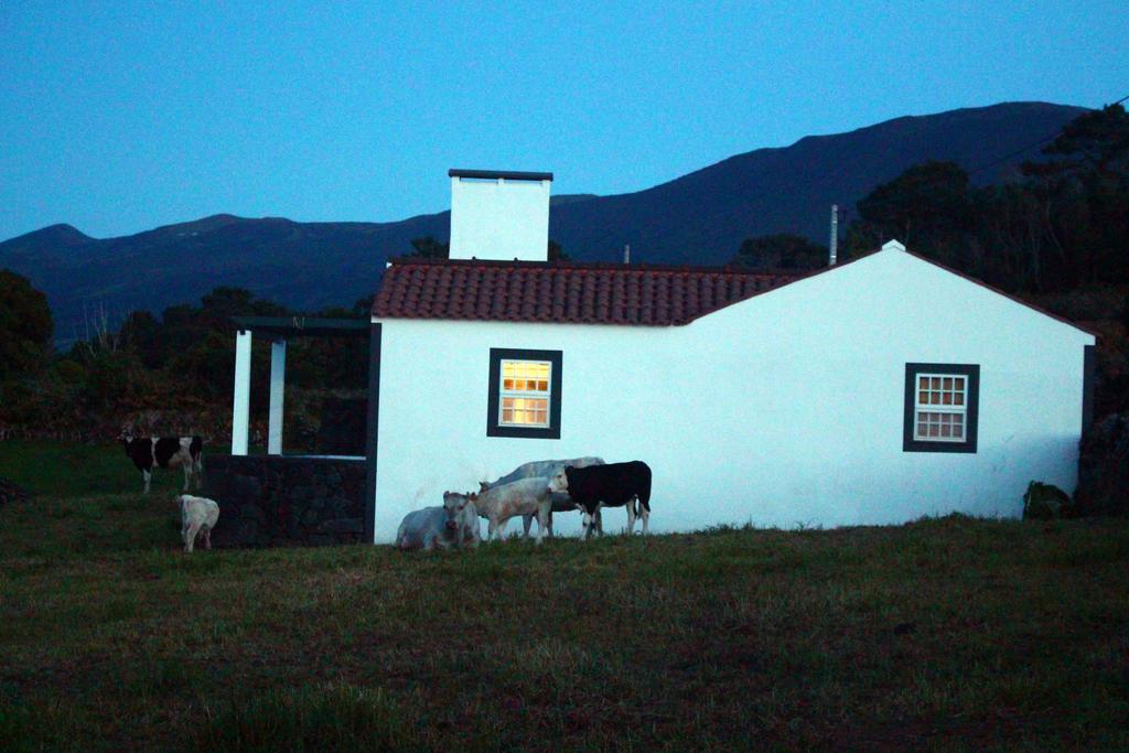 Casa Do Paim Villa São Roque do Pico Esterno foto