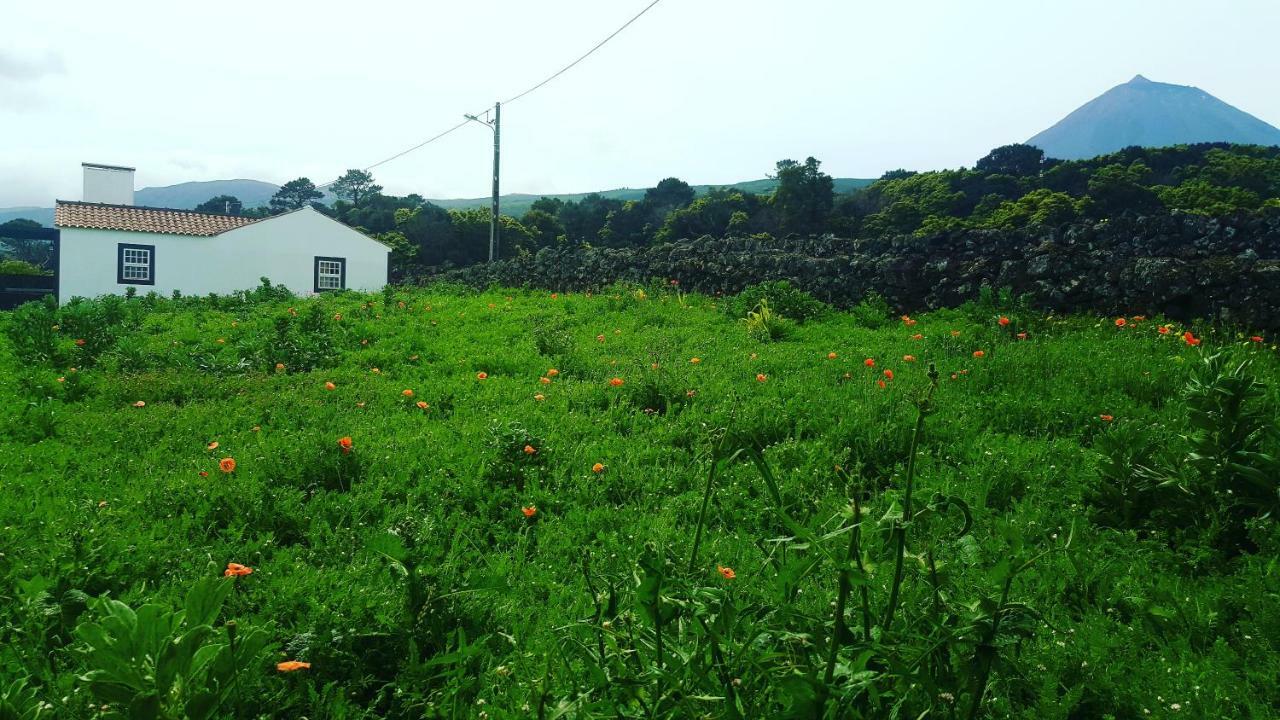 Casa Do Paim Villa São Roque do Pico Esterno foto